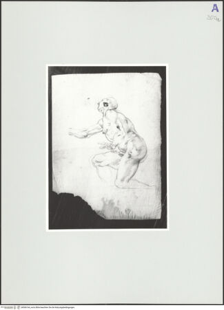 Vorderseite von Rom, Gabinetto Nazionale delle Stampe [https://www.deutsche-digitale-bibliothek.de/content/lizenzen/rv-ez/] Studie einer knienden Figur; Zwei Studien eines Oberkörpers als Rückenfiguren - , bh566164_recto. Foto.