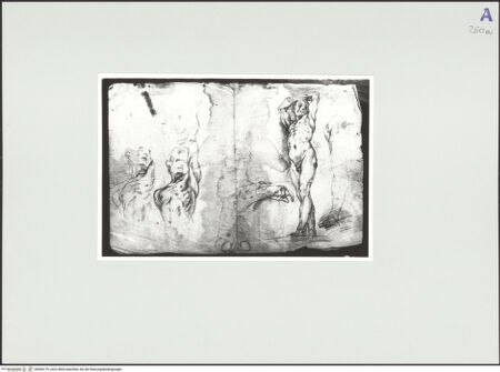 Vorderseite von Rom, Gabinetto Nazionale delle Stampe [https://www.deutsche-digitale-bibliothek.de/content/lizenzen/rv-ez/] Diverse Studien zu einer stehenden Aktfigur - , bh566179_recto. Foto.