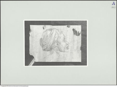 Vorderseite von Rom, Gabinetto Nazionale delle Stampe [https://www.deutsche-digitale-bibliothek.de/content/lizenzen/rv-ez/] Skizze eines männlichen Portraits im Profil - , bh566188_recto. Foto.