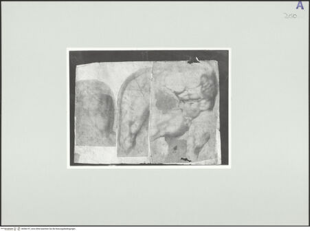 Vorderseite von Rom, Gabinetto Nazionale delle Stampe [https://www.deutsche-digitale-bibliothek.de/content/lizenzen/rv-ez/] Studie des Torso von Belvedere - Zusammen mit fol. 94 und 95 auf einem Blatt Papier montiert, bh566197_recto. Foto.