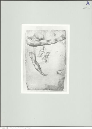 Vorderseite von Rom, Gabinetto Nazionale delle Stampe [https://www.deutsche-digitale-bibliothek.de/content/lizenzen/rv-ez/] Armstudien - , bh566200_recto. Foto.