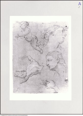 Vorderseite von bh566220_recto