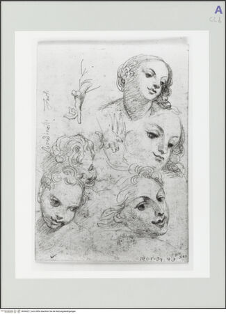 Vorderseite von bh566227_recto