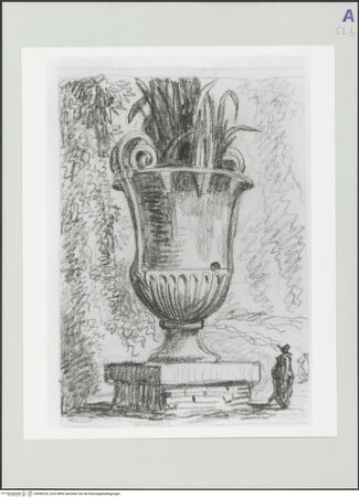 Vorderseite von bh566230_recto