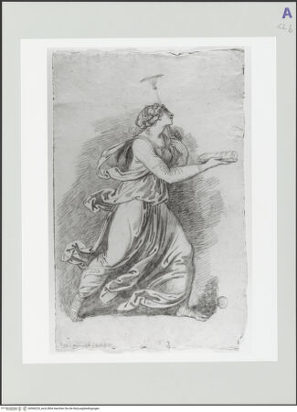 Vorderseite von bh566233_recto