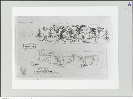 Vorderseite von bh566241_recto