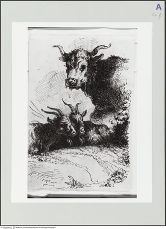 Vorderseite von bh566299_recto