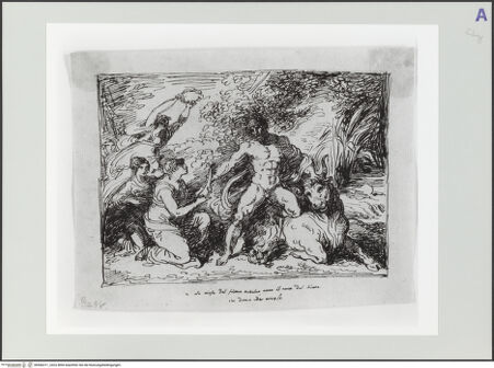 Vorderseite von bh566311_recto