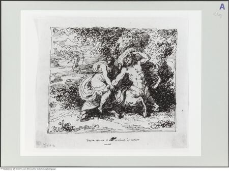 Vorderseite von bh566312_recto