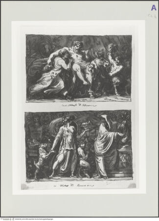 Vorderseite von bh566338_recto