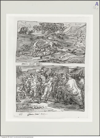 Vorderseite von bh566377_recto