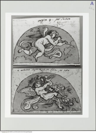 Vorderseite von bh566401_recto