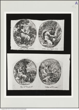 Vorderseite von bh566414_recto