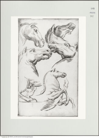 Vorderseite von bh566431_recto