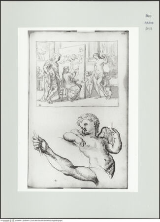 Vorderseite von bh566491-1_bh566491-2_recto