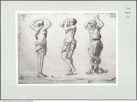 Vorderseite von bh566572_recto