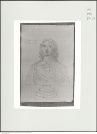 Vorderseite von Courtauld Institute, Conway Library [https://www.deutsche-digitale-bibliothek.de/content/lizenzen/rv-ez/] Der junge Nero (Büste, Palazzo Colonna, Rom) - , bh566637_recto. Foto.