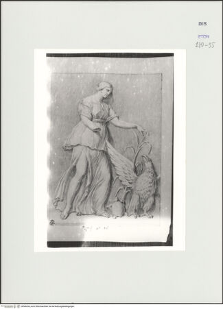 Vorderseite von Courtauld Institute, Conway Library [https://www.deutsche-digitale-bibliothek.de/content/lizenzen/rv-ez/] Weibliche Gewandfigur mit Adler und Schildkröte (Relief, Palazzo Colonna, Rom) - , bh566654_recto. Foto.