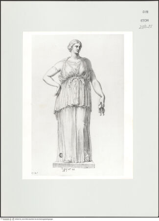 Vorderseite von Courtauld Institute, Conway Library [https://www.deutsche-digitale-bibliothek.de/content/lizenzen/rv-ez/] Stehende weibliche Gewandfigur (Ceres?) (Statue, Palazzo Mattei, Roma) - , bh566742_recto. Foto.