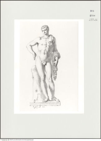 Vorderseite von Courtauld Institute, Conway Library [https://www.deutsche-digitale-bibliothek.de/content/lizenzen/rv-ez/] Stehender männlicher Akt (Statue, Palazzo Mattei, Roma) - , bh566743_recto. Foto.