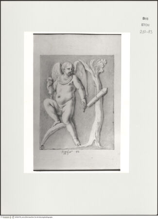 Vorderseite von Courtauld Institute, Conway Library [https://www.deutsche-digitale-bibliothek.de/content/lizenzen/rv-ez/] Cupido, eine Weintraube haltend (Relief, Palazzo Mattei, Roma) - , bh566799_recto. Foto.