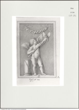 Vorderseite von Courtauld Institute, Conway Library [https://www.deutsche-digitale-bibliothek.de/content/lizenzen/rv-ez/] Serie von Zeichnungen nach einem antiken Grabmal (Musei Vaticani, Rom)Linkes Seitenrelief mit Putto, Schmetterling und Girlande - , bh566821_recto. Foto.