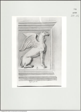 Vorderseite von Courtauld Institute, Conway Library [https://www.deutsche-digitale-bibliothek.de/content/lizenzen/rv-ez/] Zeichnungen nach einem antiken Grabmal (Musei Vaticani, Rom)Seitenrelief: Greif - , bh566831_recto. Foto.
