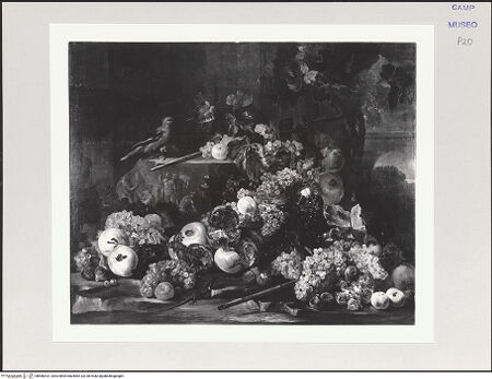 Vorderseite von bh566922_recto