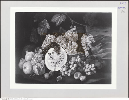 Vorderseite von bh566923_recto