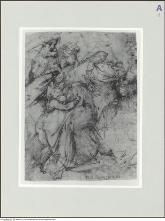 Vorderseite von bh566935_recto