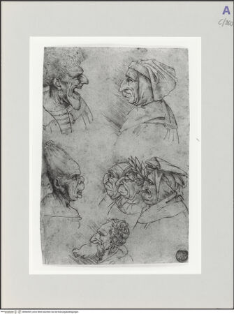 Vorderseite von bh566939_recto