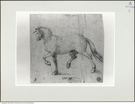 Vorderseite von bh566983_recto