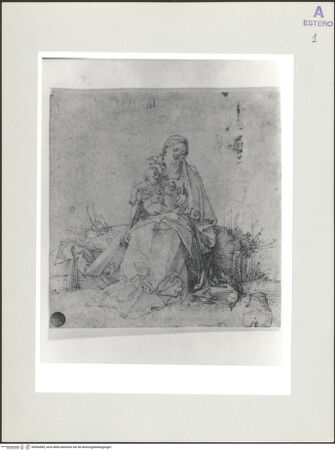 Vorderseite von bh566985_recto