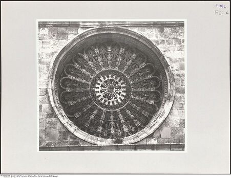 Vorderseite von bh567164_recto