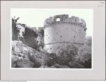 Vorderseite von bh567214_recto