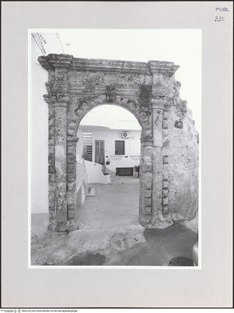 Vorderseite von bh567225_recto