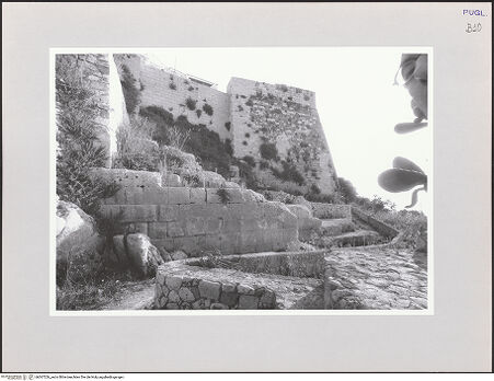 Vorderseite von bh567226_recto