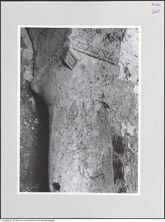 Vorderseite von bh567256_recto