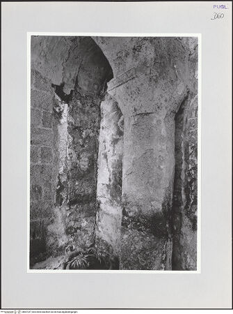 Vorderseite von bh567257_recto