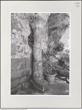 Vorderseite von bh567259_recto