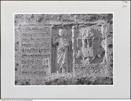 Vorderseite von bh567263_recto