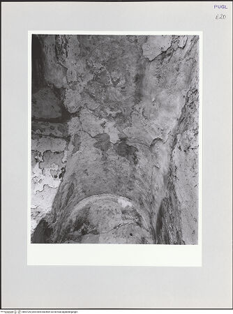 Vorderseite von bh567264_recto