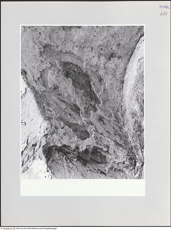 Vorderseite von bh567266_recto