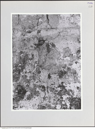 Vorderseite von bh567273_recto