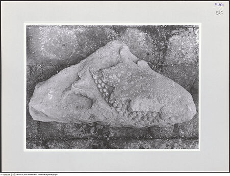 Vorderseite von bh567275_recto