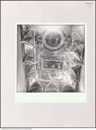 Vorderseite von bh567569_recto