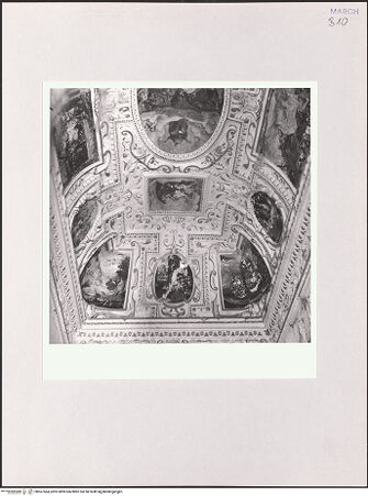 Vorderseite von bh567584_recto