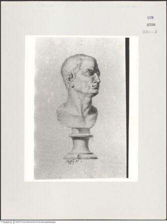 Vorderseite von Courtauld Institute, Conway Library [https://www.deutsche-digitale-bibliothek.de/content/lizenzen/rv-ez/] Büste eines Mannes (Villa Medici, Roma) - , bh567707_recto. Foto.