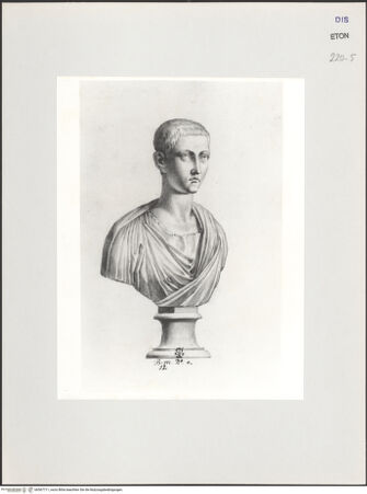 Vorderseite von Courtauld Institute, Conway Library [https://www.deutsche-digitale-bibliothek.de/content/lizenzen/rv-ez/] Büste eines Jugendlichen (Villa Medici, Roma) - , bh567711_recto. Foto.