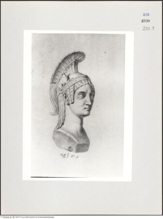 Vorderseite von Courtauld Institute, Conway Library [https://www.deutsche-digitale-bibliothek.de/content/lizenzen/rv-ez/] Kopf der Minerva (Villa Medici, Roma) - , bh567715_recto. Foto.